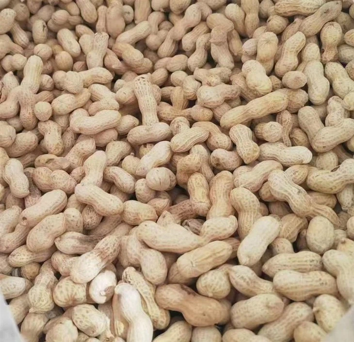 Маленький японский жареный арахис в скорлупе