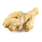 Свежий имбирь